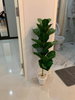 listing thumbnail image 5
