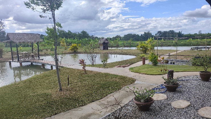 รูป ขายบ้านสวนสวยพร้อมที่ดิน3ไร่1งาน54ตาราวามีบ่อน้ำ สองบ่อเลี้ยงปลาทำสวนที่ดินติดถนนสาธารณะใกล้เทศบาลตำบลสามัคคีพร้อมทำสวนไว้ยามเกษียณมีระบบน้ำเรียบร้อย - รูปที่ 13/33