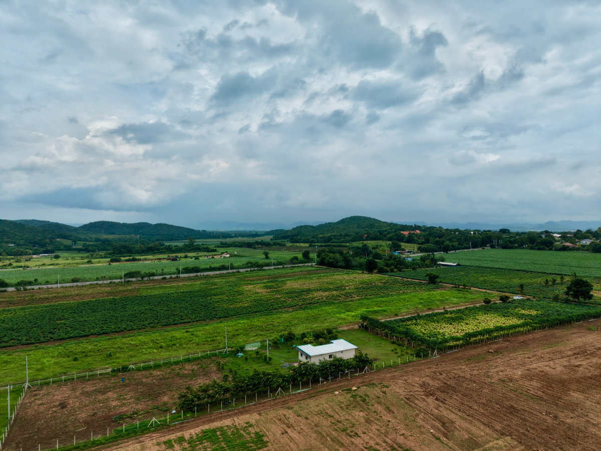 รูป ลดด่วน ต่อรองลดได้อีก ที่ดินบ้านสวนแก่งคอย ปลอดภัยมีเพื่อนบ้าน อากาศบริสุทธิ์ น้ำไม่ท่วม ใกล้เมือง - รูปที่ 5/22
