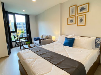 รูปภาพ ให้เช่า The Base Central Phuket วิชิต | 1 ห้องนอน | 46.5 ตร.ม. | เริ่ม 15,000 บาท