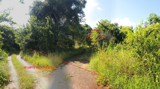 รูป ที่ดินว่างเปล่า 1178.4 ตร.วา โครงการ บ้านซำแฮด มหาสารคาม บรบือ มหาสารคาม 3.6M - รูปที่ 12/15