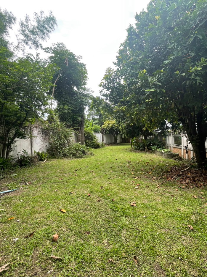 รูป บ้านว่างให้เช่าใกล้กาดฝรั่งเชียงใหม่ - รูปที่ 19/19