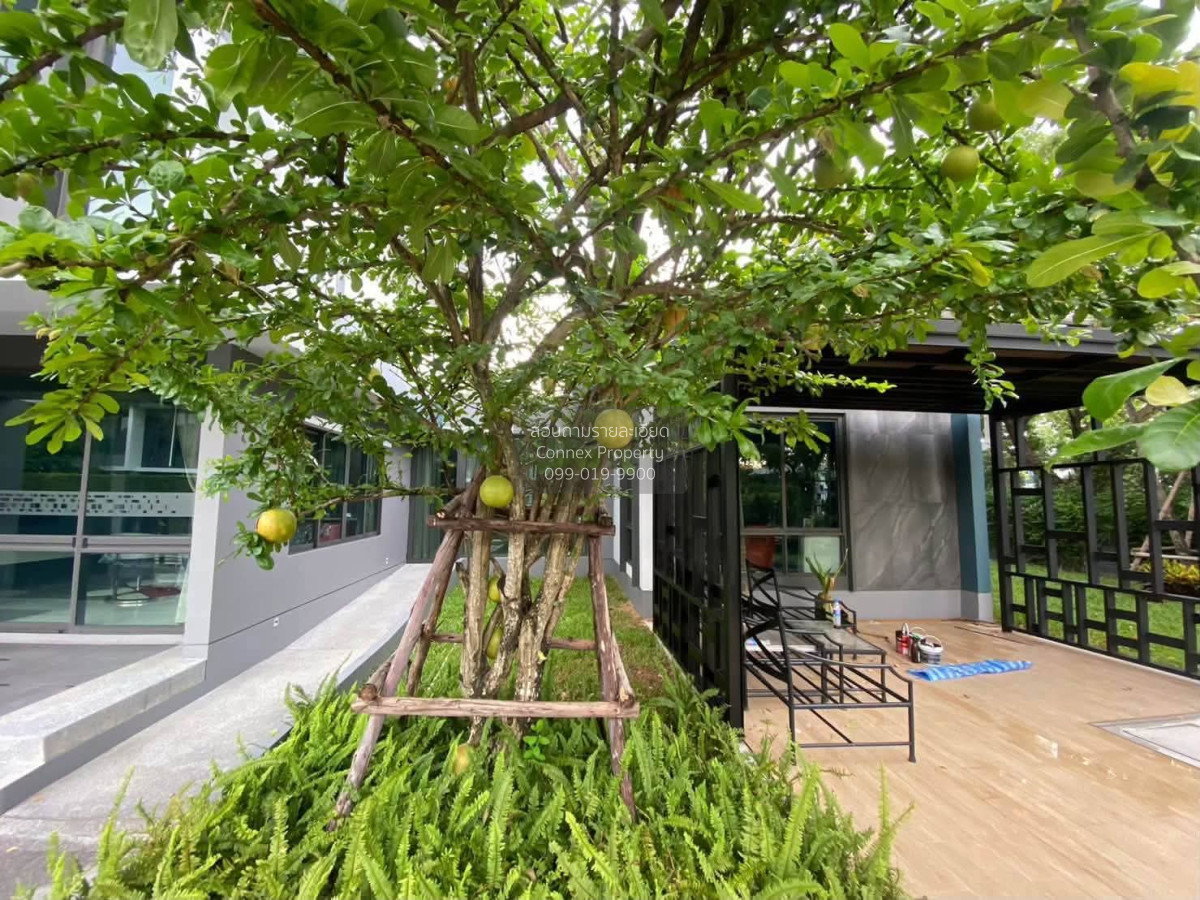 รูป ขายบ้าน  เศรษฐสิริ ทวีวัฒนา  วิวสวย หน้ากว้าง ศาลาธรรมสพน์ เขต ทวีวัฒนา กรุงเทพ CX-179641 ✅ ทักไลน์ @connexproperty ตอบทันที ทีมงานมืออาชีพ ✅ - รูปที่ 3/12
