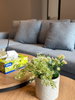 listing thumbnail image 6