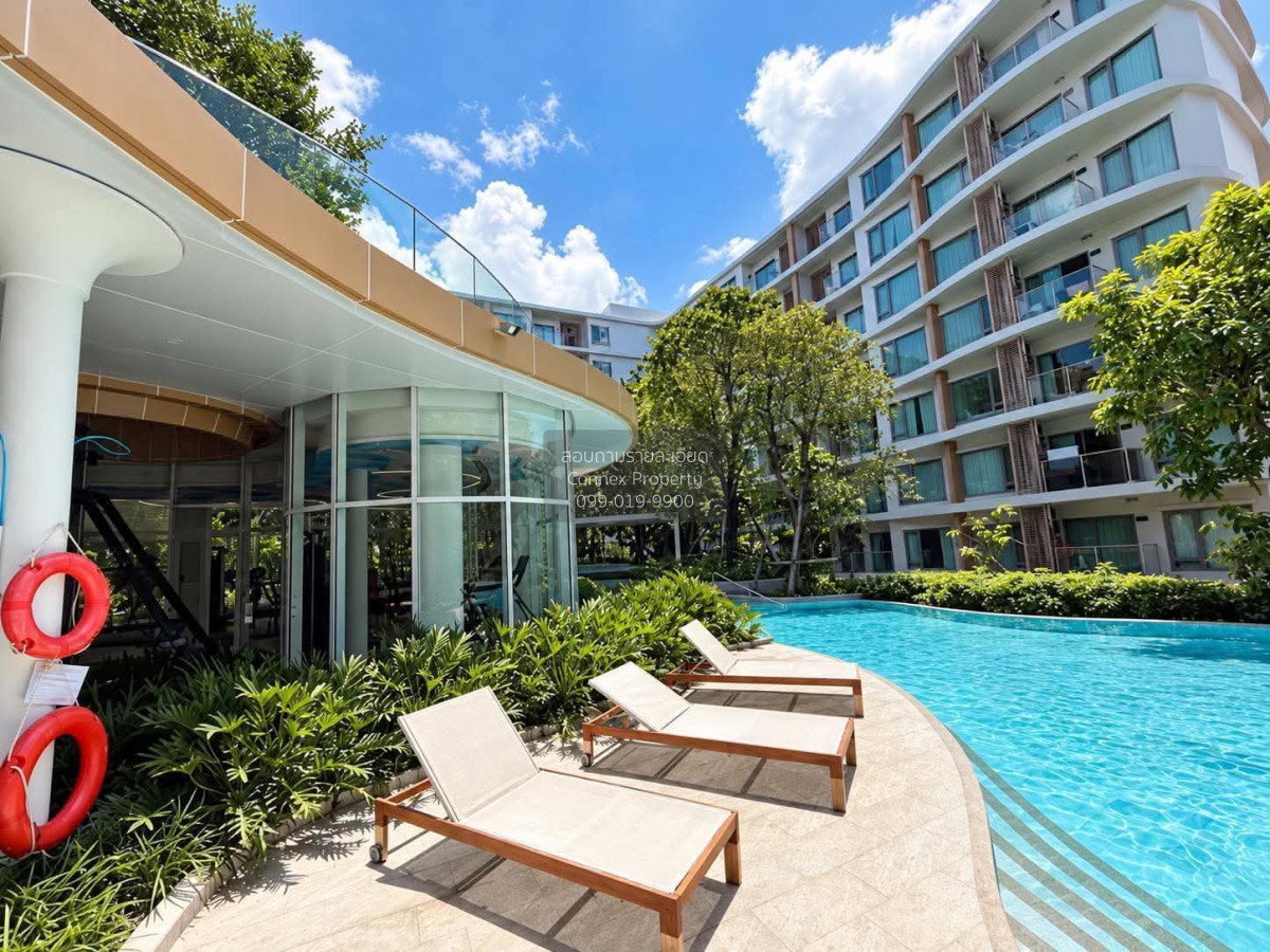 picture 🔥🔥🔥 For Rent Condo , Phyll Phuket , Wichit , Mueang Phuket , Phuket , CX-179878 ✅ Live chat with us ADD LINE @connexproperty ✅ 🔥🔥🔥 - 11/12