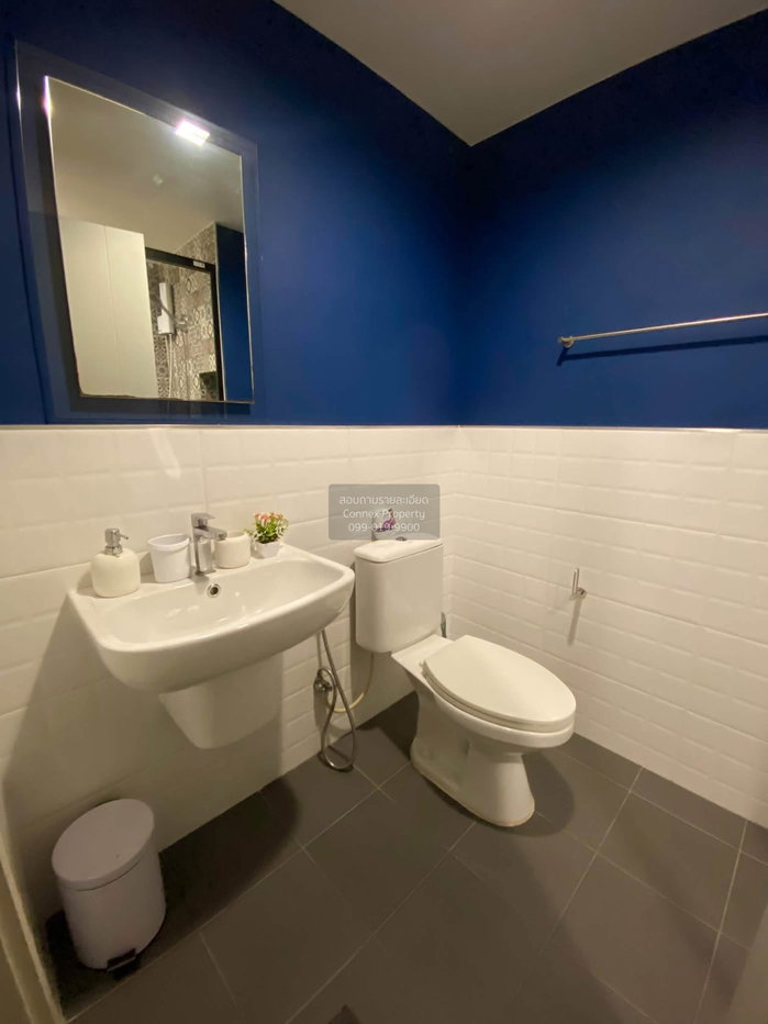 picture For Rent Condo , The Base Central - Phuket , Wichit , Mueang Phuket , Phuket , CX-179831 ✅ Live chat with us ADD LINE @connexproperty ✅ - 5/6