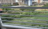 listing thumbnail image 34
