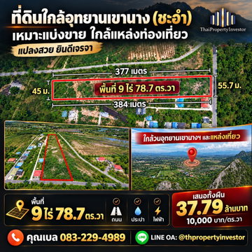 โอกาสเดียวของนักพัฒนา! ยกแปลง 9 ไร่ ชะอำ ใกล้เขานางพันธุรัต ผังสีเหลืองหายาก ทำเลสร้างมูลค่าเพิ่ม | #TPI-3504