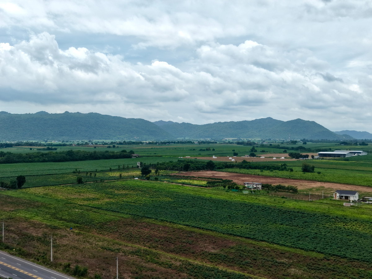 รูป ลดด่วน ต่อรองลดได้อีก ที่ดินบ้านสวนแก่งคอย ปลอดภัยมีเพื่อนบ้าน อากาศบริสุทธิ์ น้ำไม่ท่วม ใกล้เมือง - รูปที่ 12/22