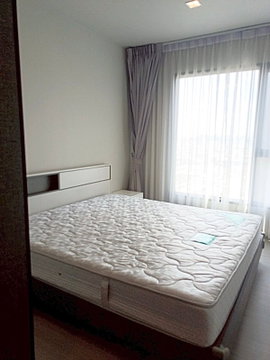 Life asoke rama9 ☎️1 bed. 32 sqm ‼️16000/month ‼️NOW AVAILABLE 🔆✅