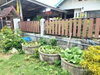 listing thumbnail image 13