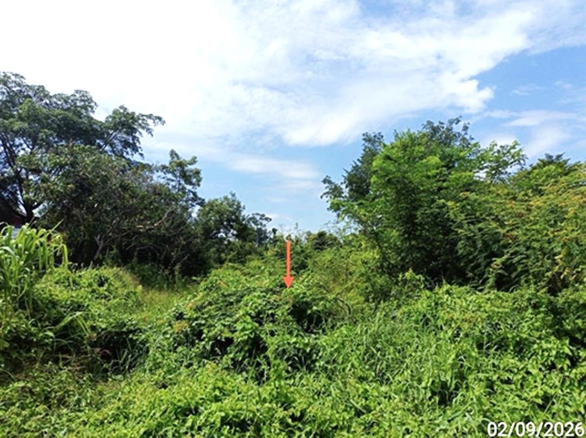 picture LAND 648 Sq.w. Muang Maha Sarakham Maha Sarakham for 4M - 16/21