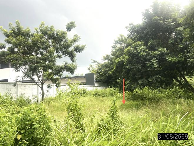 picture LAND 200 Sq.w. Muang Ubon Ratchathani Ubon Ratchathani for 1.6M - 8/23