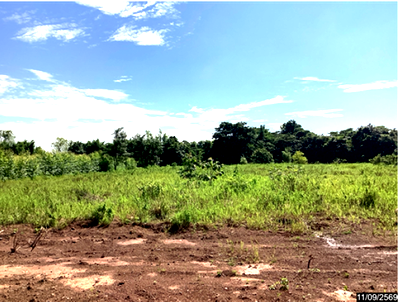 LAND 2800 Sq.w. Wanon Niwat Sakon Nakhon for 8.4M