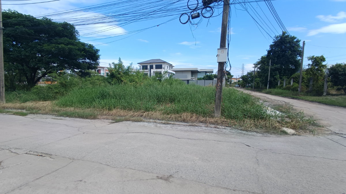 รูป ด่วน! ขายที่ดินถมแล้ว แปลงหัวมุม ทรงสวย ติดถนน 2 ด้าน ทำเล ซอย พัฒนาการ 65 - รูปที่ 11/12