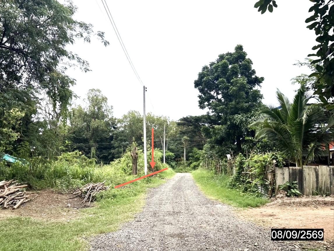 รูป ที่ดินว่างเปล่า 317 ตร.วา ภูเขียว ชัยภูมิ 999,000 - รูปที่ 12/17