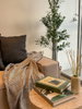 listing thumbnail image 6