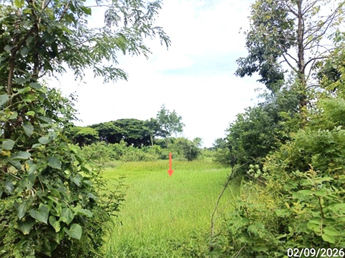 picture LAND 648 Sq.w. Muang Maha Sarakham Maha Sarakham for 4M - 15/21