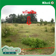 รูป ที่ดินว่างเปล่า 100 ตร.วา เมืองนราธิวาส นราธิวาส 160,000 - รูปที่ 13/15