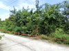 listing thumbnail image 17