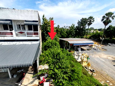 ที่ดิน สุพรรณบุรี : ที่ดินทำเลเด่น ติดถนนมาลัยแมน 80 ตร.วา ตรงข้าม โรงพยาบาลอู่ทอง สุพรรณบุรี เหมาะลงทุนและค้าขาย