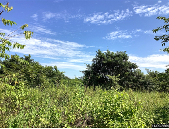 รูป ที่ดินว่างเปล่า 2800 ตร.วา วานรนิวาส สกลนคร 8.4M - รูปที่ 4/13