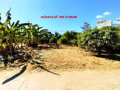 Land for sale : LAND FOR SALE!! Prime Location in Mueang Phetchabun, Thailand