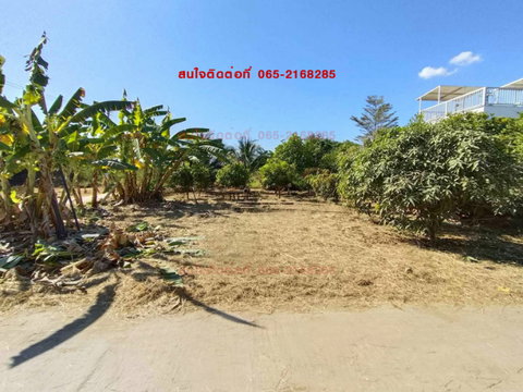LAND FOR SALE!! Prime Location in Mueang Phetchabun, Thailand