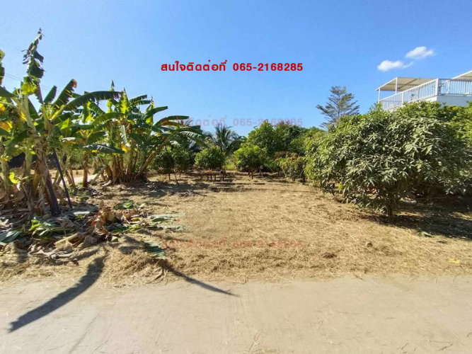 picture LAND FOR SALE!! Prime Location in Mueang Phetchabun, Thailand - 1/9