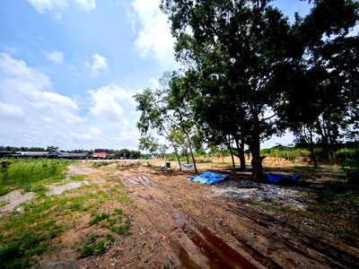ที่ดิน บ้านฉาง ระยอง : ขายที่ดินแปลงสวย ระยอง บ้านฉาง GL547