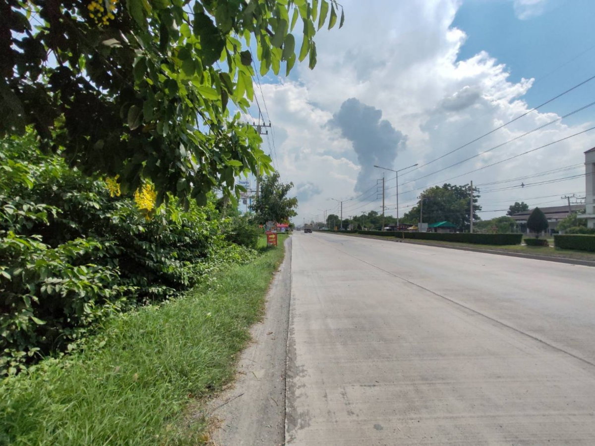 รูป สะสมที่ดินทำเลเด่น! แปลงสวย 100 ตร.วา ติดถนนมาลัยแมน ใกล้แยกวังขอน สุพรรณบุรี - รูปที่ 2/4