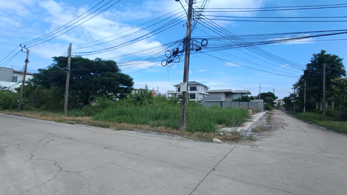 รูป ด่วน! ขายที่ดินถมแล้ว แปลงหัวมุม ทรงสวย ติดถนน 2 ด้าน ทำเล ซอย พัฒนาการ 65 - รูปที่ 6/12
