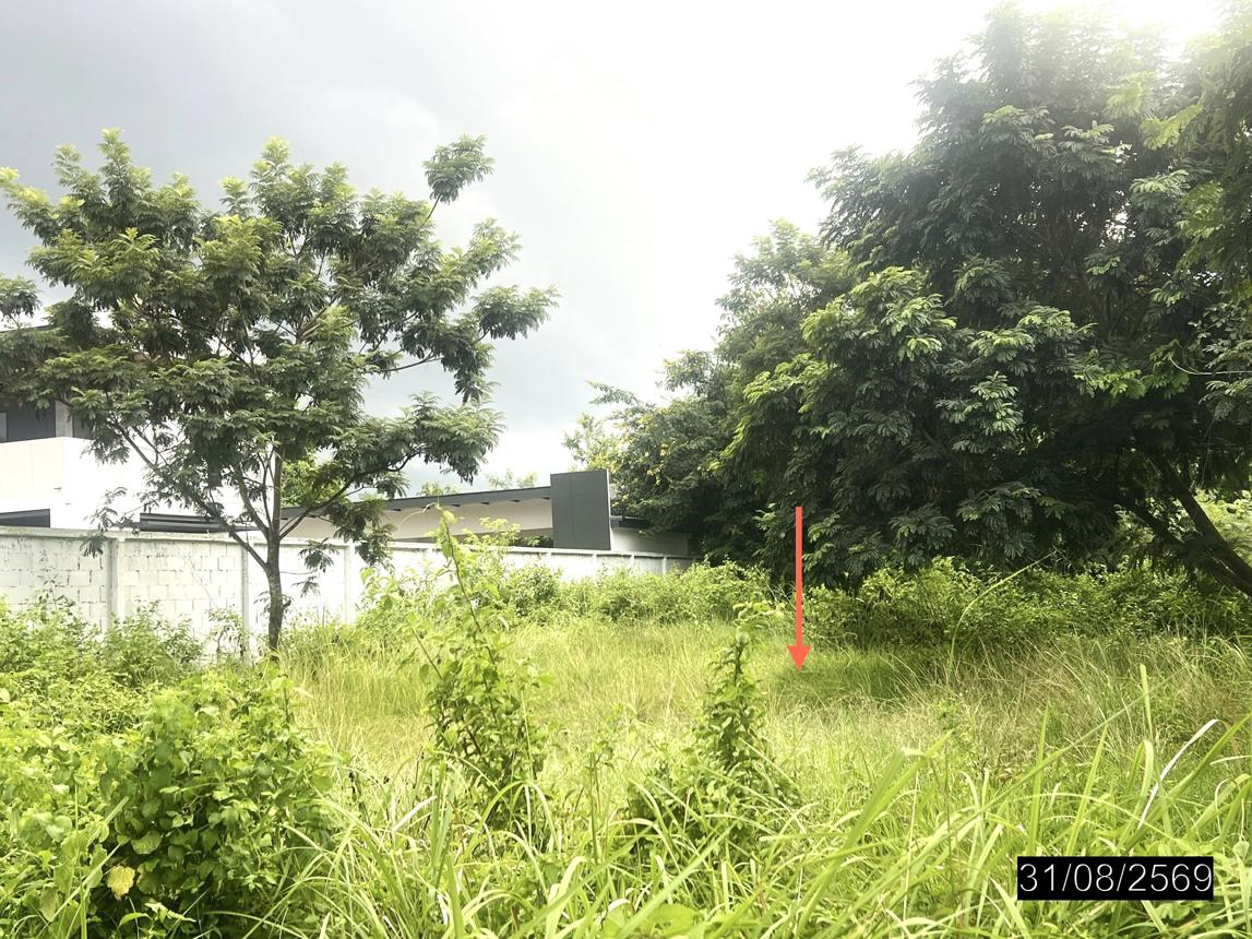 picture LAND 200 Sq.w. Muang Ubon Ratchathani Ubon Ratchathani for 1.6M - 17/23