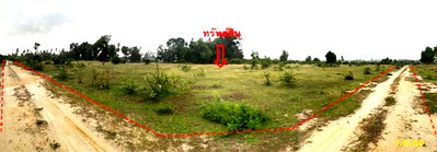 Land for sale Narathiwat : LAND 100 Sq.w. Muang Narathiwat Narathiwat for 160,000