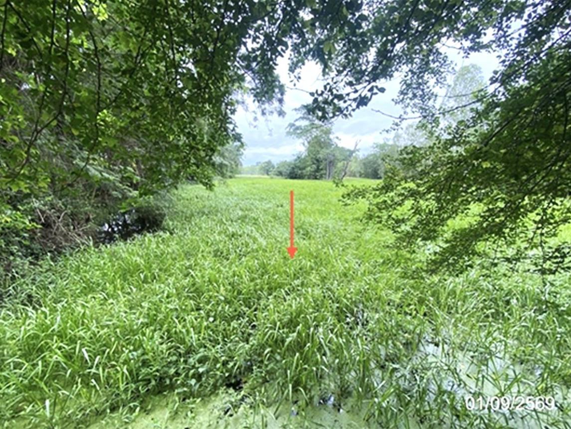 รูป ที่ดินว่างเปล่า 2368.3 ตร.วา เมืองมหาสารคาม มหาสารคาม 6.5M - รูปที่ 12/21