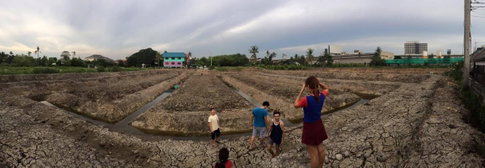 ขายที่ดินทำเลทอง บางรักใหญ่ – บางบัวทอง ใกล้ MRT บางพลู Central WestGate M81