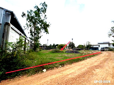 Houses for sale Ratchburi : HOME 954 Sq.w. Ban Pong Ratchburi for 1.7M