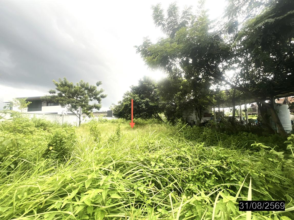 picture LAND 200 Sq.w. Muang Ubon Ratchathani Ubon Ratchathani for 1.6M - 15/23
