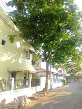 owner's post open for negotiation. Long rentals have discounts.no flood issue.