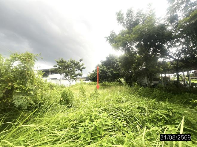 picture LAND 200 Sq.w. Muang Ubon Ratchathani Ubon Ratchathani for 1.6M - 5/23