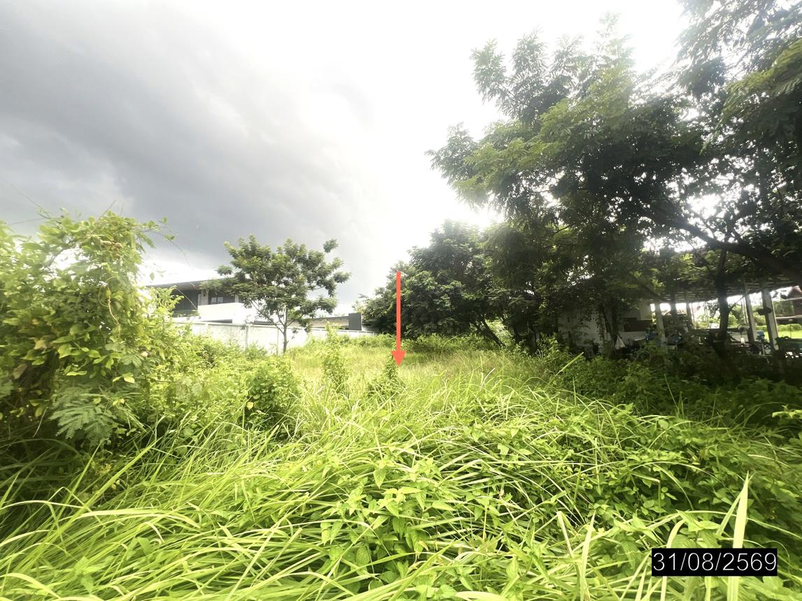 picture LAND 200 Sq.w. Muang Ubon Ratchathani Ubon Ratchathani for 1.6M - 14/23