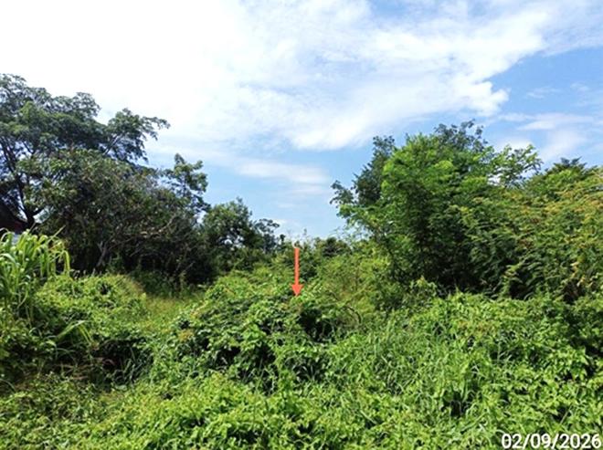 picture LAND 648 Sq.w. Muang Maha Sarakham Maha Sarakham for 4M - 8/21