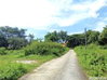 listing thumbnail image 16