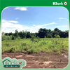 listing thumbnail image 10