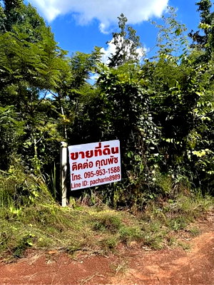 Land for sale : ​Land for Sale in Udon Thani ~20 Rai, Ban Khao - Na Kha, Special Price 3.5M Baht