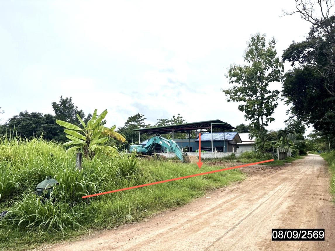 รูป ที่ดินว่างเปล่า 317 ตร.วา ภูเขียว ชัยภูมิ 999,000 - รูปที่ 10/17