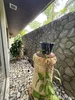listing thumbnail image 34