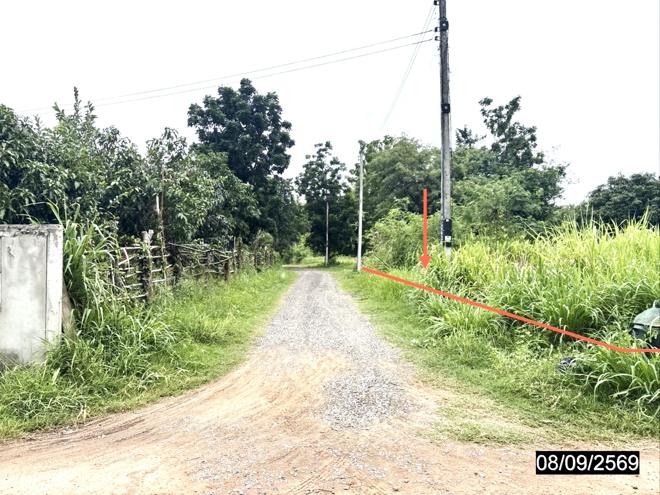 รูป ที่ดินว่างเปล่า 317 ตร.วา ภูเขียว ชัยภูมิ 999,000 - รูปที่ 7/17