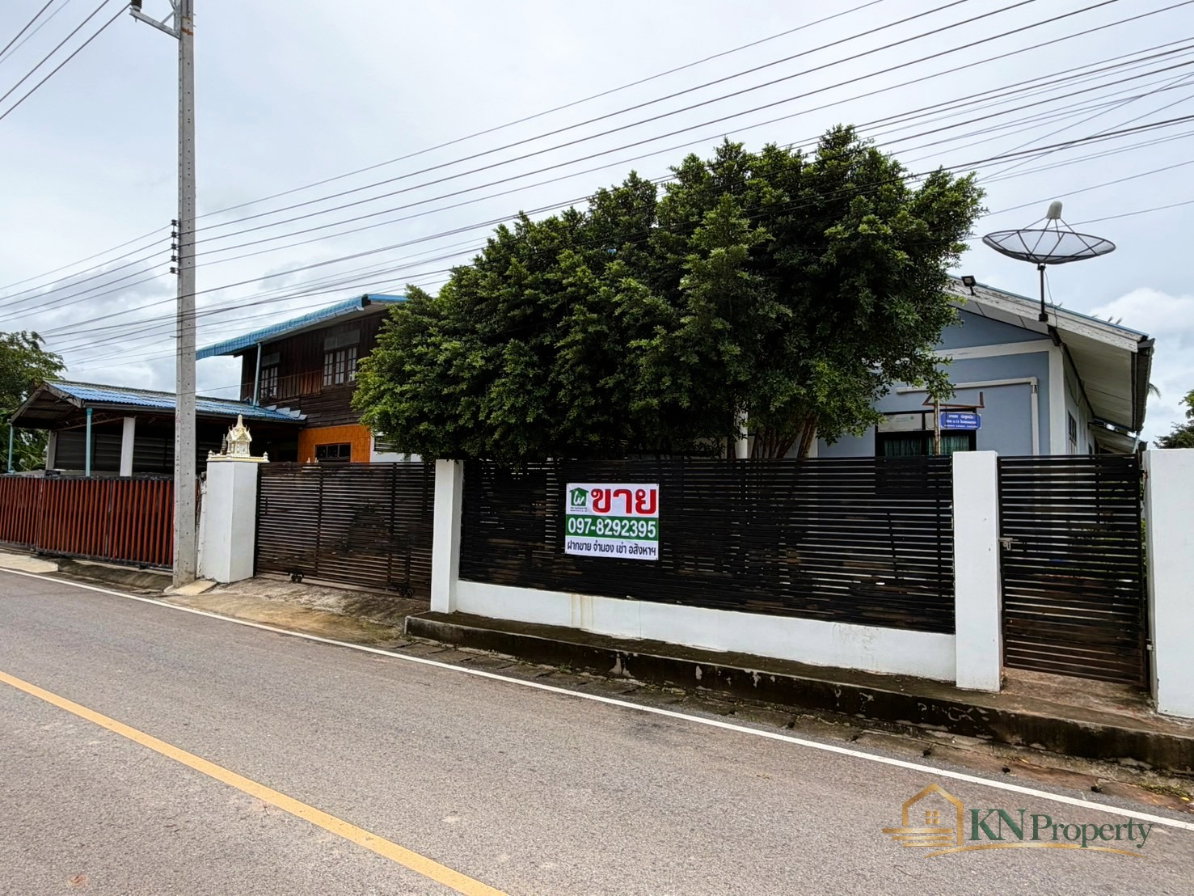 รูป ขายบ้านเดี่ยว 1 ชั้น 1.7 ล้าน 75 ตร.ว. ต.หนองกราด อ.ด่านขุนทด จ.นครราชสีมา บรรยากาศดี ใกล้ถนนใหญ่ ทำเลน่าอยู่ - รูปที่ 2/14