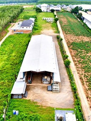 โรงงาน ดิเอ็มโพเรี่ยม : ขายด่วน! ที่ดินพร้อมโรงงาน 8 ไร่ | นิคมพัฒนา ระยอง ผังเมืองสีม่วงลายจุด • ต.มะขามคู่ รถเทรลเลอร์เข้า–ออกสะดวก